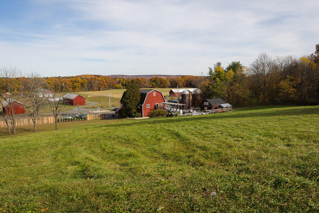 Overview of the red barn and fall foliage at Westfield River Brewing